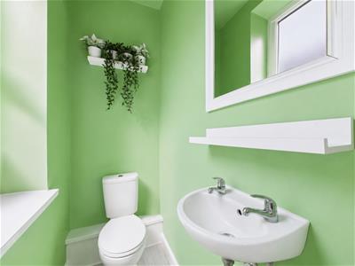 Picture 19